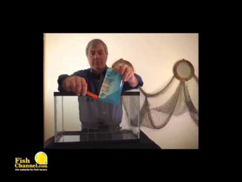 how to fix aquarium leak