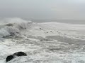 Olon en la Herradura, Lima, Peru.