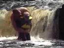 Zak Goes Under the Falls Zak Goes Under the Falls