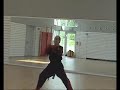 Hyong: Po-Eum performed by Grandmaster M. Wafa