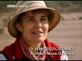 Horizon: The Lost Pyramids of Caral 1/3