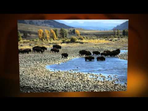 how to plan a trip to yellowstone national park