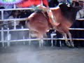 Bombardero Rojo Campe�n en Iguala,Gro.