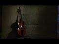 heinrich ignaz franz biber (1644 - 1704).

passacaglia in g minor for violine solo:

1. without tempo indication.
2. adagio.
3. allegro.
4. adagio.

reinhard goebel (violin).