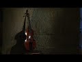 Heinrich Ignaz Franz Biber (1644 - 1704).Passacaglia in G Minor for Violine Solo:1. Without tempo indication.2. Adagio.3. Allegro.4. Adagio.Reinhard Goebel (Violin).