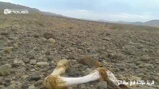 قرية ملاحة في دقائق