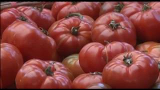 Phóng sự: TP Uông Bí tăng cường các biện pháp đảm bảo VS ATTP Tết 2017.