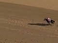 Eight Belles collapses at Kentucky Derby 2008
