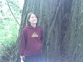 DriveAbout 107 - Redwood National Park, CA