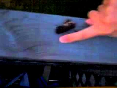 how to dissolve bird poop