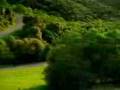 Relaxing.3gp