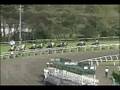 新潟ジャンプステークス 1999年 エイシンワンサイド