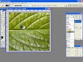 Realistic Water Droplets in Photoshop