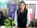 Pesticida ecológico