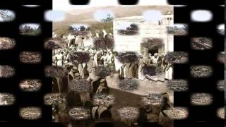 قرية بيت نبالا قرية بيت نبالا