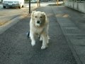 DSCN2610