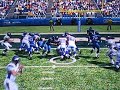 Adrian Peterson gets jacked up! - (Madden 09)