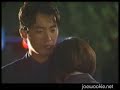 Sunflower MV-An.j.w
