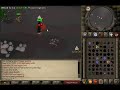 Dh ranger2 killing borgs in wildy - runescape