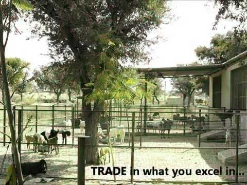 rajasthan goat farming - Watch Akbar K Qureshi owner Qureshi Farm www.qureshifarm.com explain his vision and the idea behind Qureshi Farm, the biggest goat farm in the Shekhawati reg...