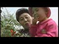 Ning Xia Red: Ancient History Part 2 Pancreas, Inflammation of
