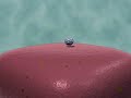 Video Prevenci�n del Cancer de Cervix
