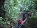 Wild Careers:  Gorilla Field Research