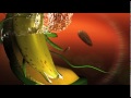 video thumbnail 1