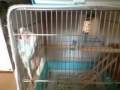 videos de 081225_1302~0001.m4v