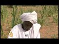 While diplomats bicker over global warming, the people of Sudan are bracing themselves for more severe droughts. When they come, agriculture collapses, forcing mass migrations, and conflict over dwindling food and water supplies. Al Jazeera's Mohamed Vall travelled to a village in Northern Darfur to take a closer look at the problem.