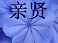Chinese Film Leuven Sinologie deel 2:Weerbericht+ Blind Date