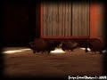 Baxayaun's Room - Minigame Intro Baxayaun's Room - Minigame Intro