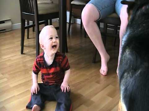 Rire de bébé Rire de bébé