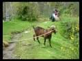 Man Goat