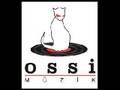 Ozzman-Records presents AC/DC Thunderstruck (Techno Version)