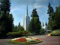 The Olive Tree and Other Songs.... Latter Day Saint Temples