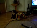 Blurry Face1