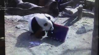 Smithsonian National Zoo