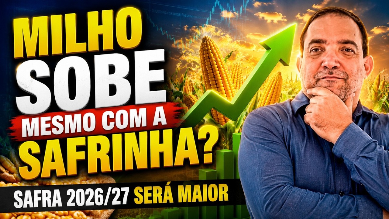 Milho sobe mesmo com a safrinha? Safra 2026/27 será maior