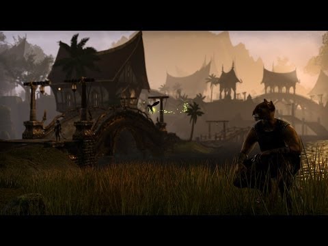 Let's Play Elder Scrolls Online: Holy Crap an Awesome Tiger House!