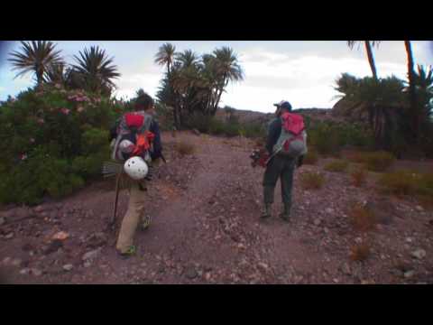 Long Treks on Skate Decks Morocco Episode 5: Losing Our Minds to Zagora