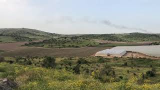 قرية الدوايمة المهجرة قضاء الخليل قرية الدوايمة المهجرة قضاء الخليل