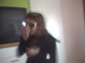 Paris Hilton Is a BLond ..! HUmmm
