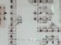 Re: 김인호돼지박사 한국형우주관 응^응=응 우주화시대 응원해주세요