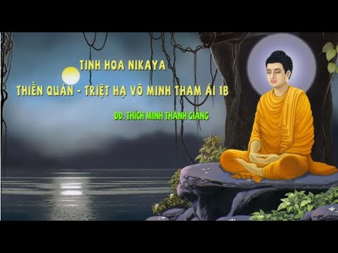 Tinh Hoa NIKAYA - Thiền Quán - Triệt Hạ Vô Minh Tham Ái 1B Tinh Hoa NIKAYA - Thiền Quán - Triệt Hạ Vô Minh Tham Ái 1B