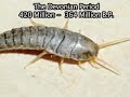 2012: Mass Extinctions Dinosaurs Neanderthal CroMagnon Evolution Metamorphosis Doomsday The Serpent Returns