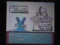 ポケットモンスターエメラルドバトルピラミッド戦 vsジンダイ(銀シンボル)
