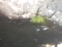 Ine Special Jump 1
