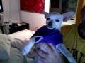 videos de 12/03/08- Episode 1 