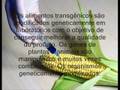 videos de Trabalho de Artes, Dia da Tecnologia